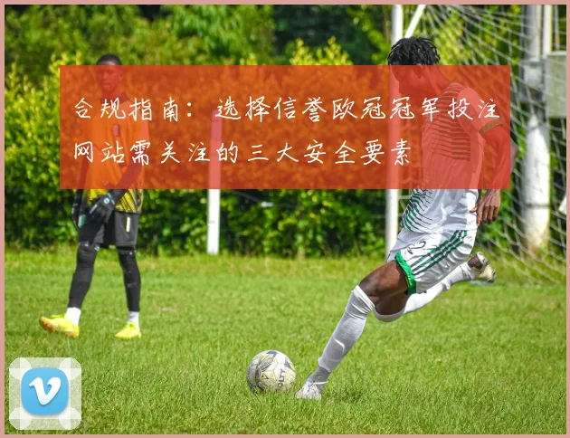 合规指南：选择信誉欧冠冠军投注网站需关注的三大安全要素
