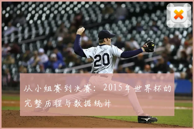 从小组赛到决赛：2015年世界杯的完整历程与数据统计