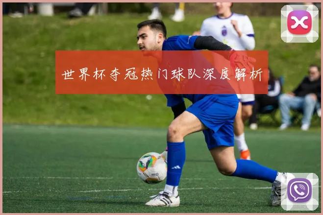 世界杯夺冠热门球队深度解析