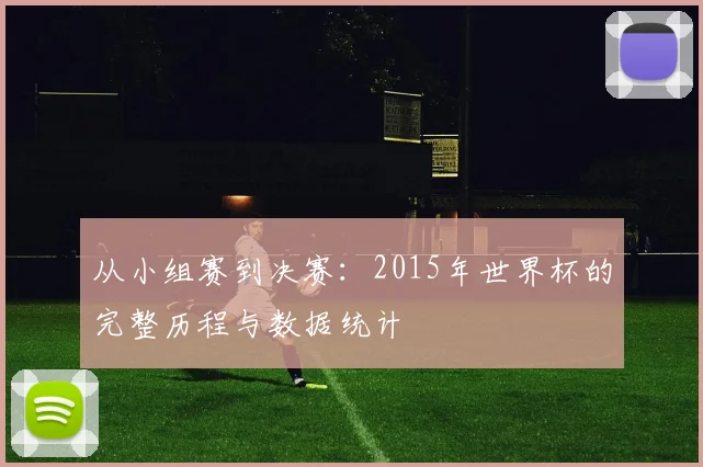 从小组赛到决赛：2015年世界杯的完整历程与数据统计