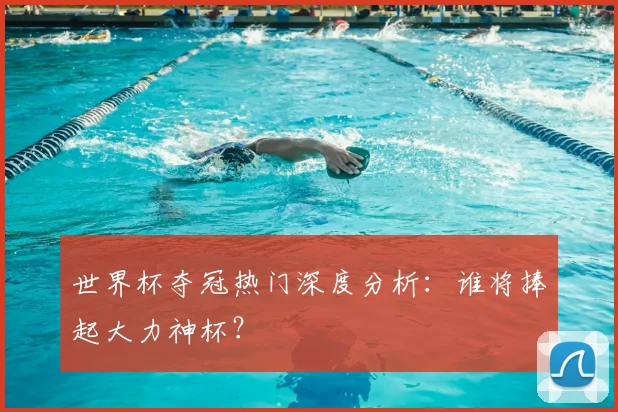世界杯夺冠热门深度分析：谁将捧起大力神杯？